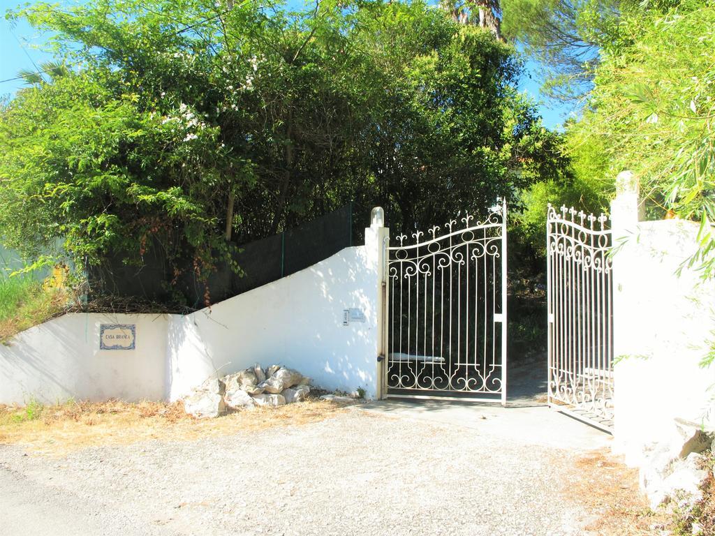 Casa Branca Guest House Foz do Arelho Ngoại thất bức ảnh